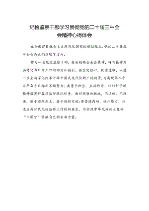 纪检监察干部学习贯彻党的二十届三中全会精神心得体会(5).docx