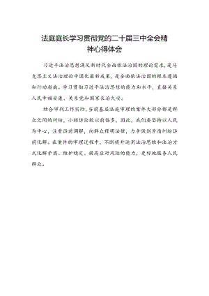 法庭庭长学习贯彻党的二十届三中全会精神心得体会 .docx