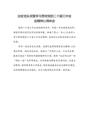 治安支队民警学习贯彻党的二十届三中全会精神心得体会.docx