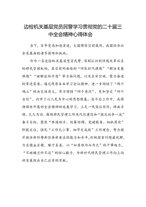 边检机关基层党员民警学习贯彻党的二十届三中全会精神心得体会.docx