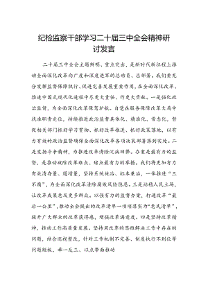 纪检监察干部学习二十届三中全会精神研讨发言范文.docx