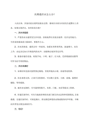 汛期遇洪水怎么办？（2024年）.docx
