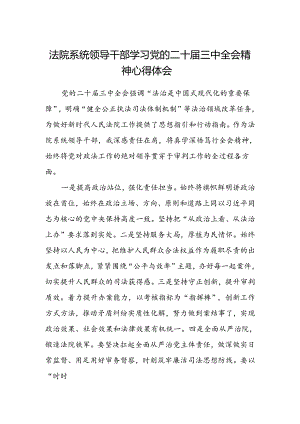 法院系统领导干部学习党的二十届三中全会精神心得体会.docx