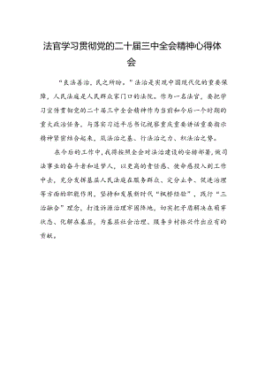 法官学习贯彻党的二十届三中全会精神心得体会(7).docx