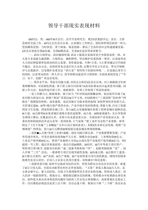 领导干部现实表现材料.docx