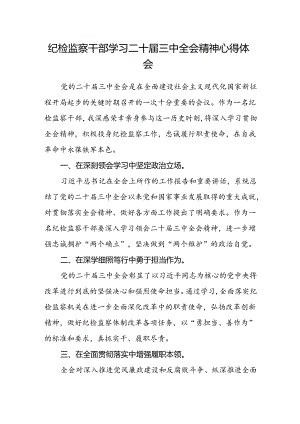 纪检监察干部学习二十届三中全会精神心得体会.docx
