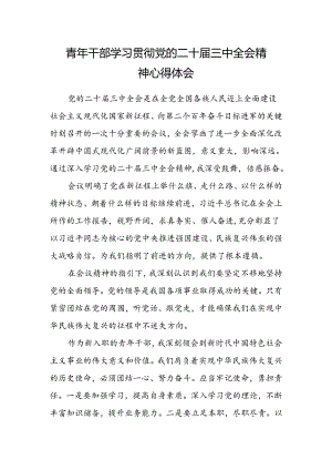 青年干部学习贯彻党的二十届三中全会精神心得体会.docx