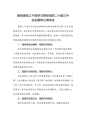 镇党委组工干部学习贯彻党的二十届三中全会精神心得体会.docx