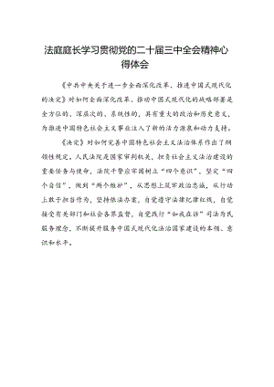 法庭庭长学习贯彻党的二十届三中全会精神心得体会 (4).docx