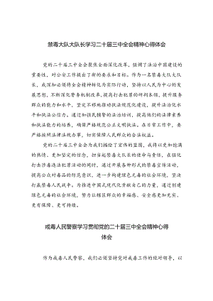 禁毒大队大队长学习二十届三中全会精神心得体会5篇（详细版）.docx