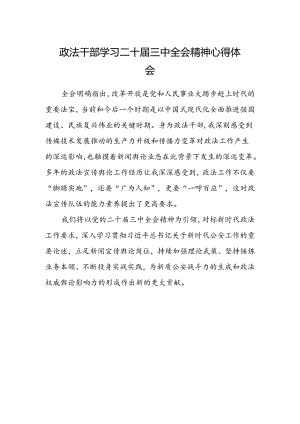 政法干部学习二十届三中全会精神心得体会范文.docx