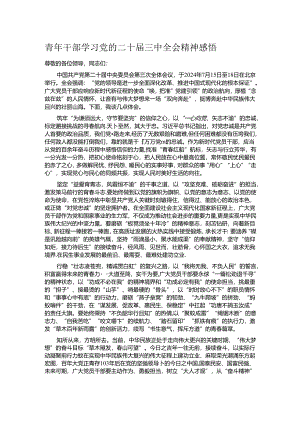 青年干部学习党的二十届三中全会精神感悟.docx