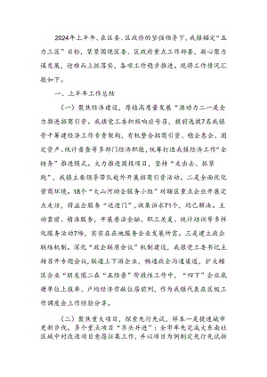 镇2024年上半年工作总结和下半年工作计划.docx
