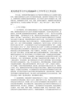 某局理论学习中心组2024年上半年学习工作总结.docx