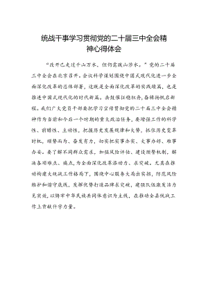 统战干事学习贯彻党的二十届三中全会精神心得体会.docx