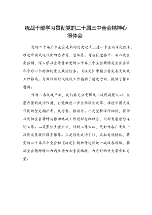 统战干部学习贯彻党的二十届三中全会精神心得体会 .docx