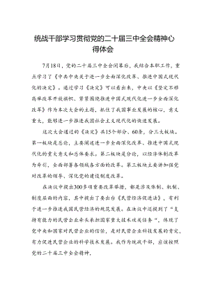 统战干部学习贯彻党的二十届三中全会精神心得体会 .docx