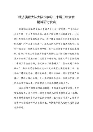 经济侦查大队大队长学习二十届三中全会精神研讨发言.docx