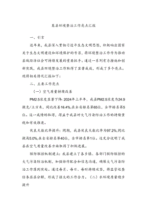 某县环境整治工作亮点汇报.docx