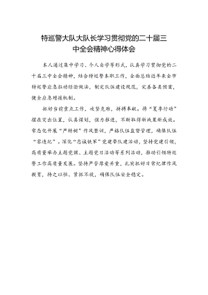 特巡警大队大队长学习贯彻党的二十届三中全会精神心得体会.docx