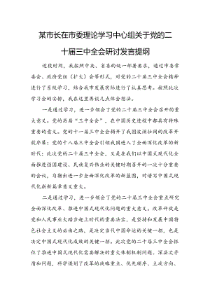 某市长在市委理论学习中心组关于党的二十届三中全会研讨发言提纲.docx