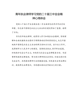 青年执业律师学习党的二十届三中全会精神心得体会.docx