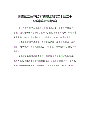 街道党工委书记学习贯彻党的二十届三中全会精神心得体会.docx
