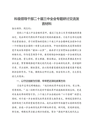 科级领导干部二十届三中全会专题研讨交流发言材料.docx