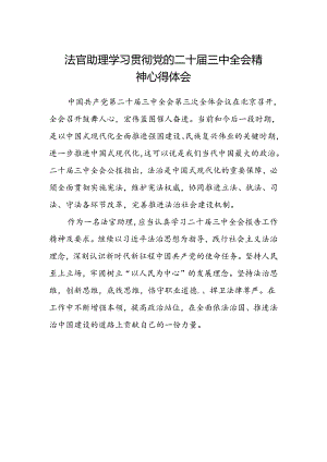 法官助理学习贯彻党的二十届三中全会精神心得体会范文 .docx