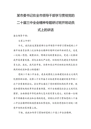 某市委书记在全市领导干部学习贯彻党的二十届三中全会精神专题研讨班开班动员式上的讲话.docx