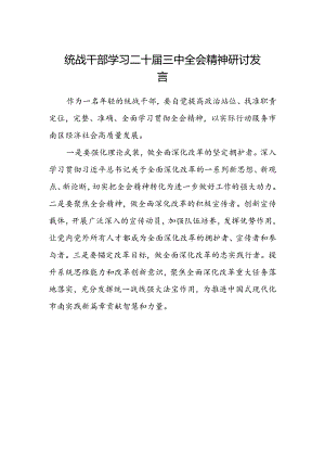 统战干部学习二十届三中全会精神研讨发言.docx
