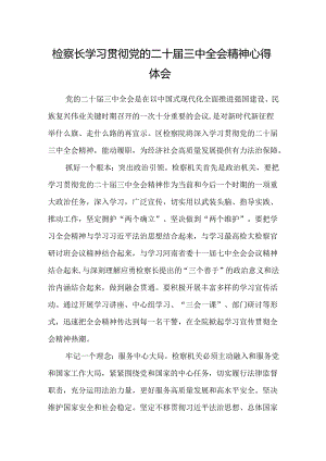 检察长学习贯彻党的二十届三中全会精神心得体会范文 .docx