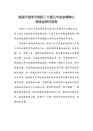 统战干部学习党的二十届三中全会精神心得体会研讨发言.docx