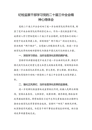 纪检监察干部学习党的二十届三中全会精神心得体会.docx