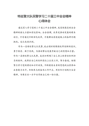 特巡警大队民警学习二十届三中全会精神心得体会.docx