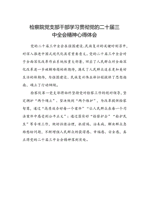 检察院党支部干部学习贯彻党的二十届三中全会精神心得体会.docx