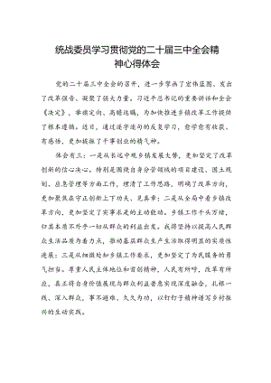 统战委员学习贯彻党的二十届三中全会精神心得体会.docx