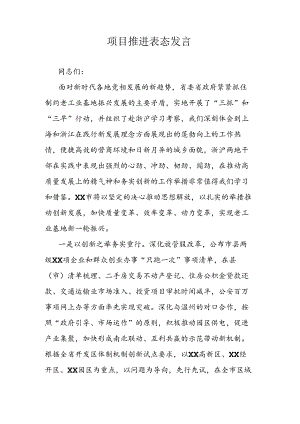 项目推进表态发言.docx