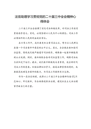 法官助理学习贯彻党的二十届三中全会精神心得体会 .docx