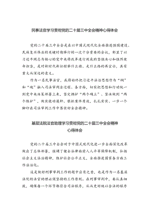 民事法官学习贯彻党的二十届三中全会精神心得体会5篇（精选版）.docx