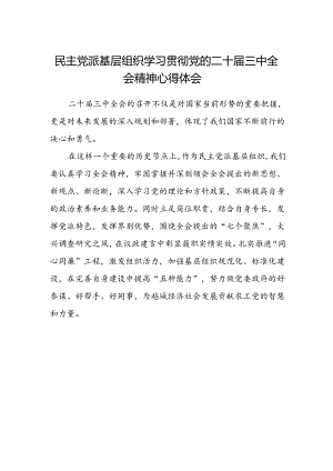民主党派基层组织学习贯彻党的二十届三中全会精神心得体会.docx