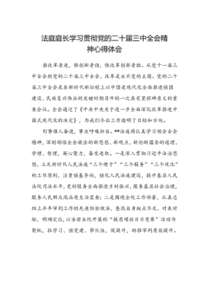 法庭庭长学习贯彻党的二十届三中全会精神心得体会.docx