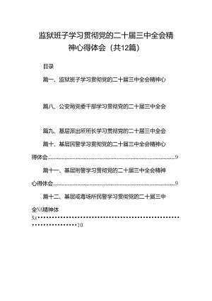 监狱班子学习贯彻党的二十届三中全会精神心得体会（共12篇）.docx