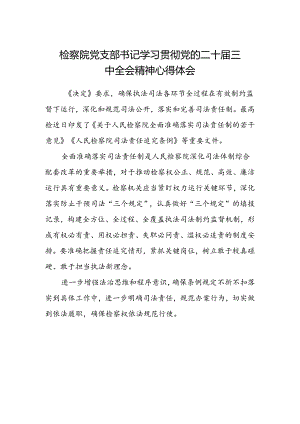 检察院党支部书记学习贯彻党的二十届三中全会精神心得体会.docx