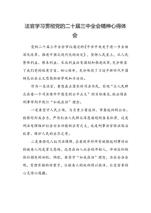 法官学习贯彻党的二十届三中全会精神心得体会(6).docx