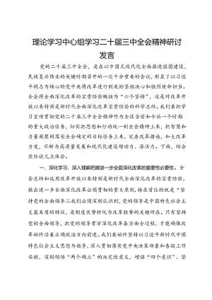 理论学习中心组学习二十届三中全会精神研讨发言 .docx
