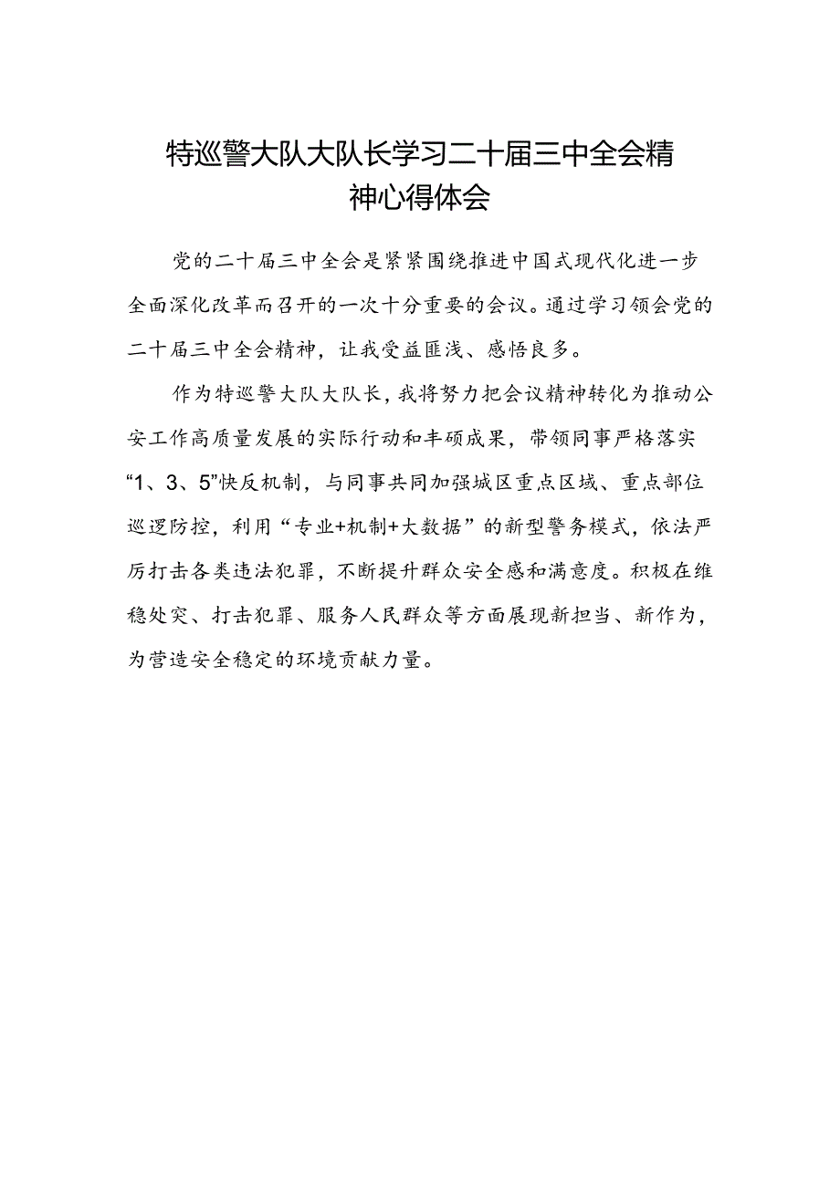特巡警大队大队长学习二十届三中全会精神心得体会.docx_第1页