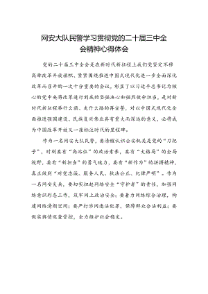 网安大队民警学习贯彻党的二十届三中全会精神心得体会.docx