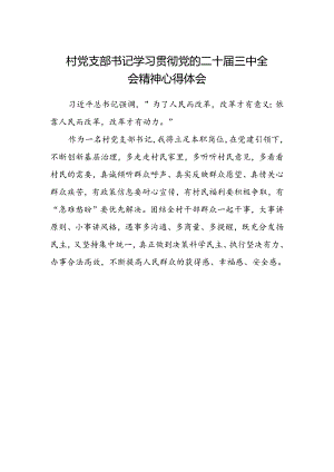 村党支部书记学习贯彻党的二十届三中全会精神心得体会.docx