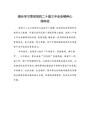 镇长学习贯彻党的二十届三中全会精神心得体会.docx